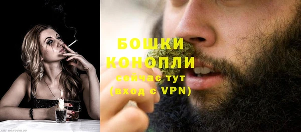 стаф Пестово