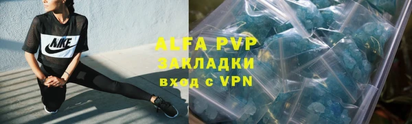 стаф Пестово