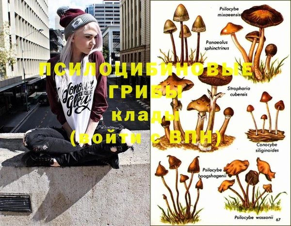стаф Пестово