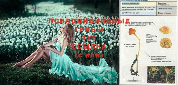 амфетамин Пересвет