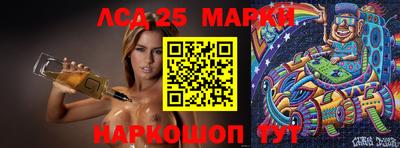 гашик Аргун
