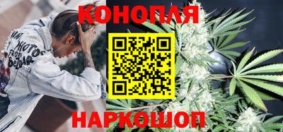 гашик Аргун