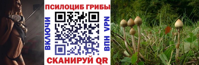 Псилоцибиновые грибы GOLDEN TEACHER  наркота  Кудрово 