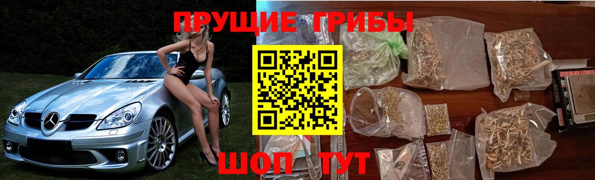 Псилоцибиновые грибы ЛСД Кудрово
