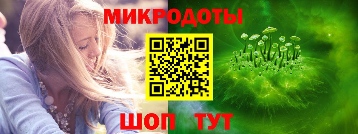 Галлюциногенные грибы Psilocybine cubensis  Вход с VPN  Кудрово 